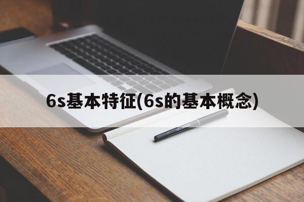 6s基本特征(6s的基本概念)